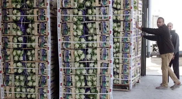 مدار الساعة,أخبار اقتصادية,وزير الزراعة,وزارة الزراعة,وكالة الأنباء الأردنية