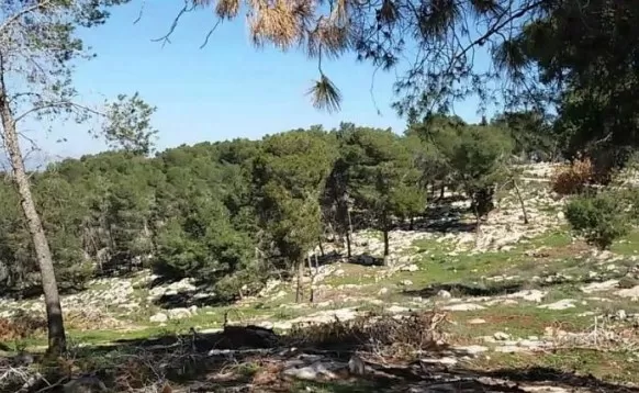 مدار الساعة,أخبار الأردن,اخبار الاردن,وزارة الزراعة,سلطة وادي الأردن,دائرة الأراضي والمساحة,وادي الأردن,مجلس النواب