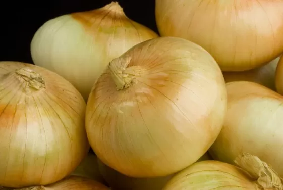 مدار الساعة,أخبار اقتصادية