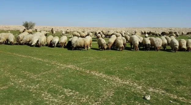 مدار الساعة,أخبار الأردن,اخبار الاردن