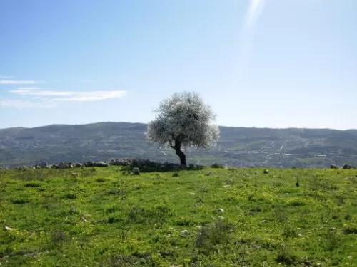 مدار الساعة,أخبار الأردن,اخبار الاردن
