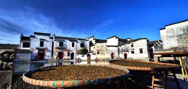مدار الساعة,أخبار السياحة في الأردن,جمهورية مصر العربية