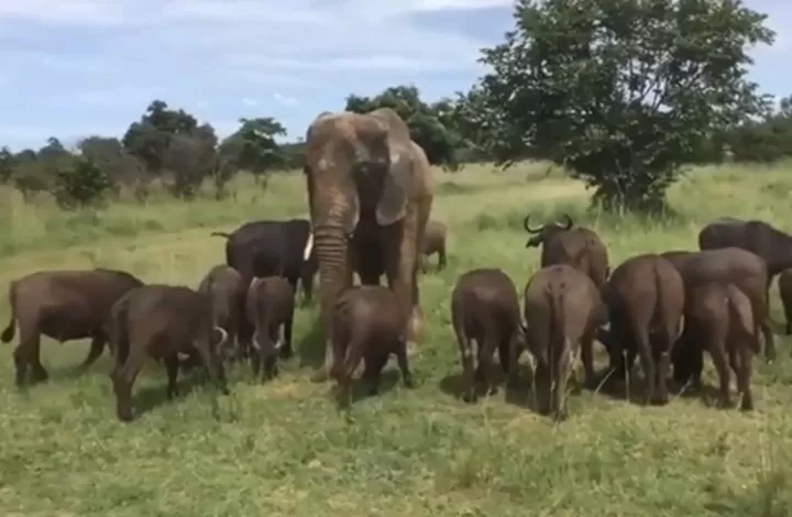 مدار الساعة,أخبار خفيفة ومنوعة