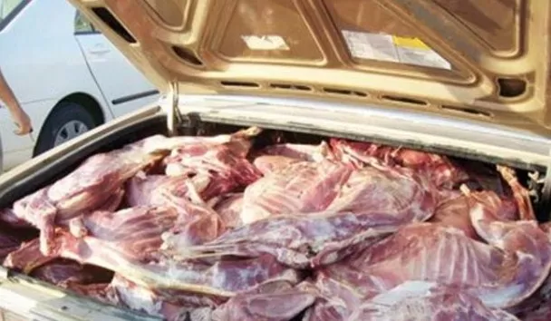 مدار الساعة,أخبار الأردن,اخبار الاردن