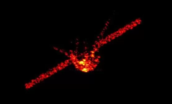 مدار الساعة,أخبار خفيفة ومنوعة