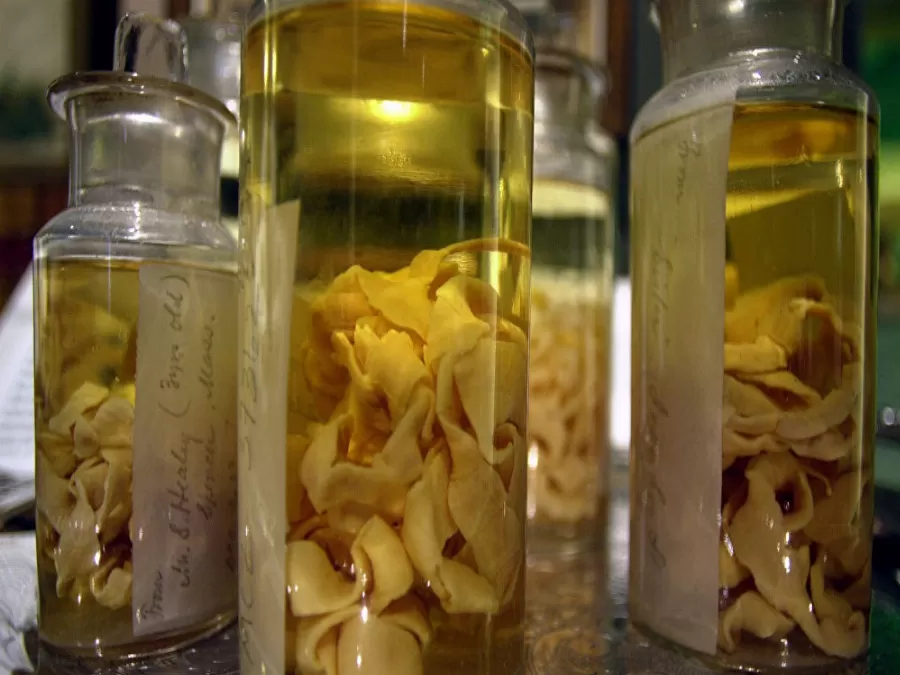 مدار الساعة,أخبار خفيفة ومنوعة