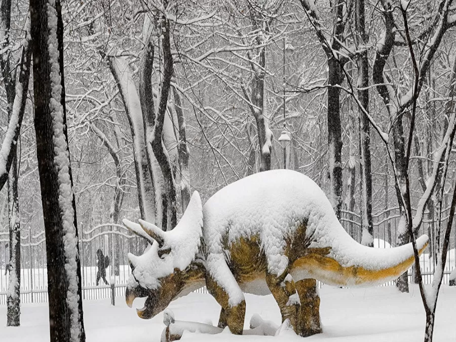 مدار الساعة,أخبار خفيفة ومنوعة