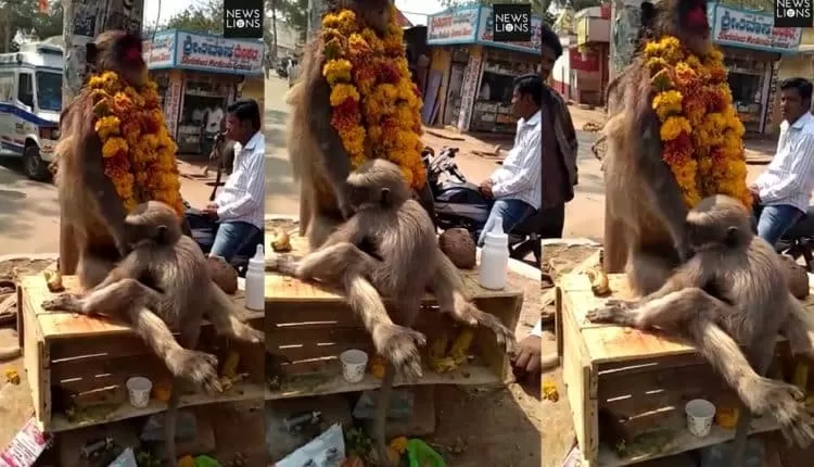 مدار الساعة,Video,فيديو,أخبار خفيفة ومنوعة