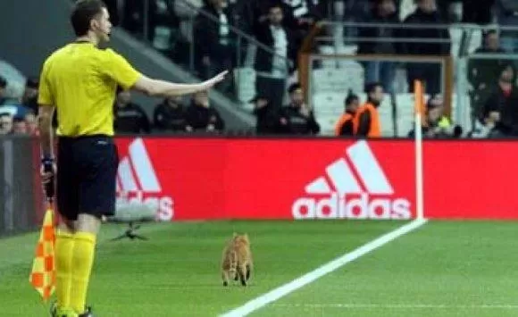 مدار الساعة,أخبار رياضية,الاتحاد الأوروبي