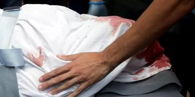 مدار الساعة,أخبار خفيفة ومنوعة