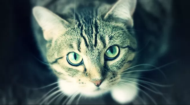 مدار الساعة,أخبار خفيفة ومنوعة