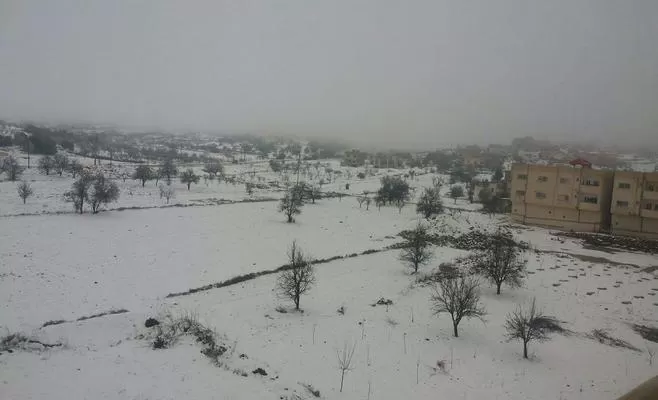 مدار الساعة,أخبار الأردن,اخبار الاردن,الدفاع المدني
