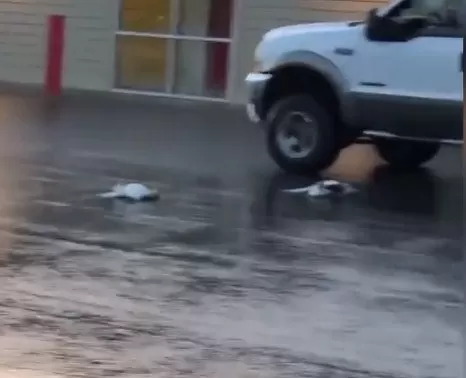 مدار الساعة,Video,فيديو,أخبار خفيفة ومنوعة