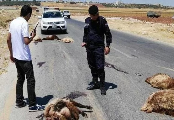 مدار الساعة,أخبار الأردن,اخبار الاردن