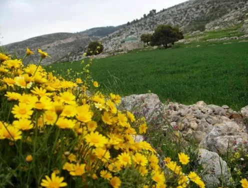 مدار الساعة,أخبار الأردن,اخبار الاردن,درجات الحرارة العظمى والصغرى,درجات الحرارة,البحر الميت