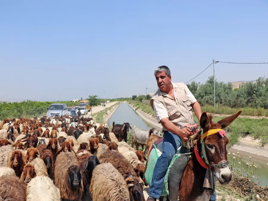 مدار الساعة,أخبار المجتمع الأردني