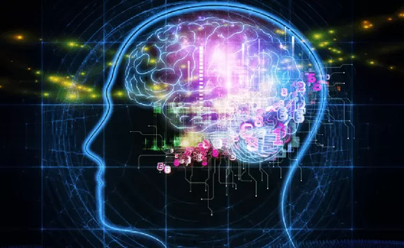 مدار الساعة,أخبار خفيفة ومنوعة