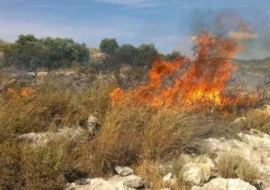 مدار الساعة,أخبار الأردن,اخبار الاردن,الدفاع المدني
