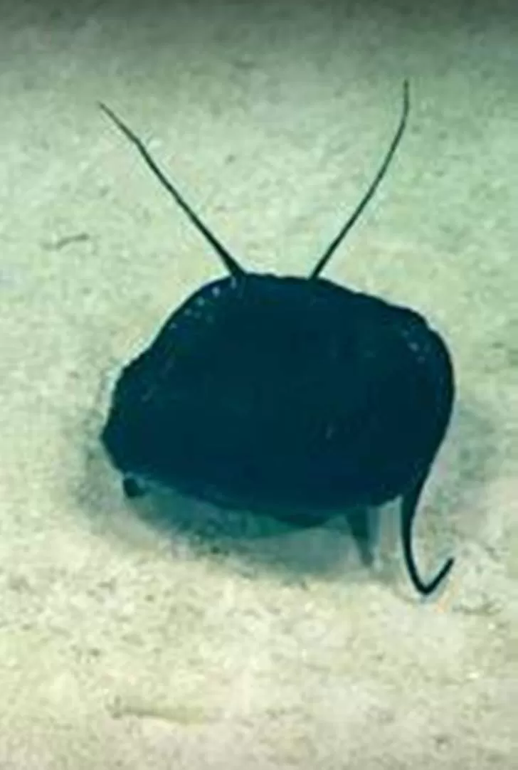 مدار الساعة,Video,فيديو,أخبار خفيفة ومنوعة