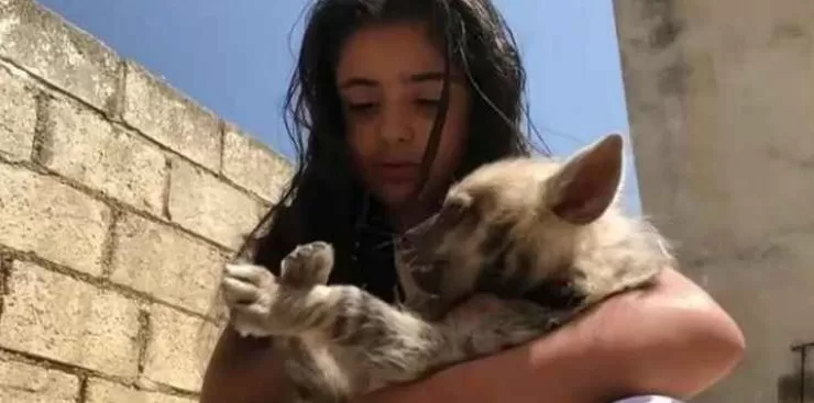 مدار الساعة,Video,فيديو,أخبار الأردن,اخبار الاردن