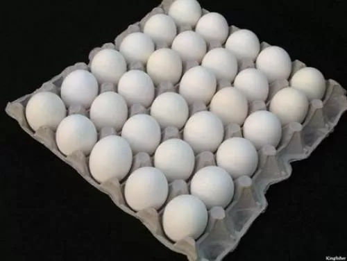 مدار الساعة,أخبار الأردن,اخبار الاردن,وزارة الصناعة والتجارة,وزارة الزراعة,وزارة الصناعة