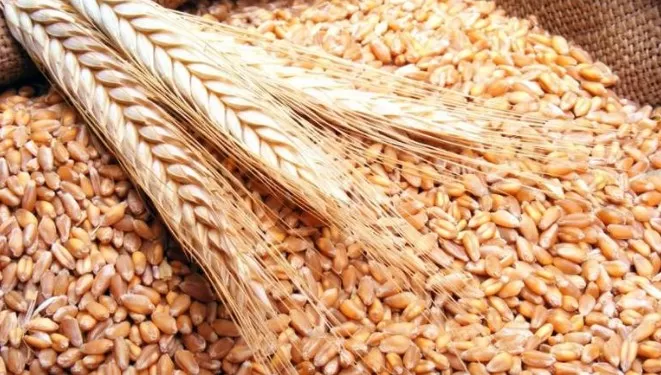 مدار الساعة,أخبار اقتصادية,وزير الصناعة والتجارة والتموين,يعرب القضاة