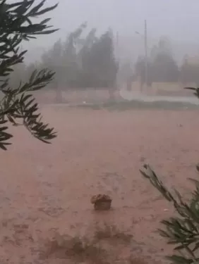 مدار الساعة,أخبار الأردن,اخبار الاردن,التنمية الاجتماعية,الدفاع المدني