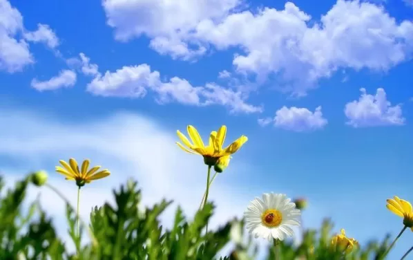 مدار الساعة,أخبار الأردن,اخبار الاردن,درجات الحرارة العظمى والصغرى,درجات الحرارة,البحر الميت