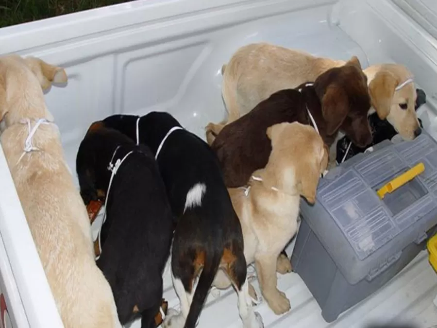 مدار الساعة,أخبار خفيفة ومنوعة