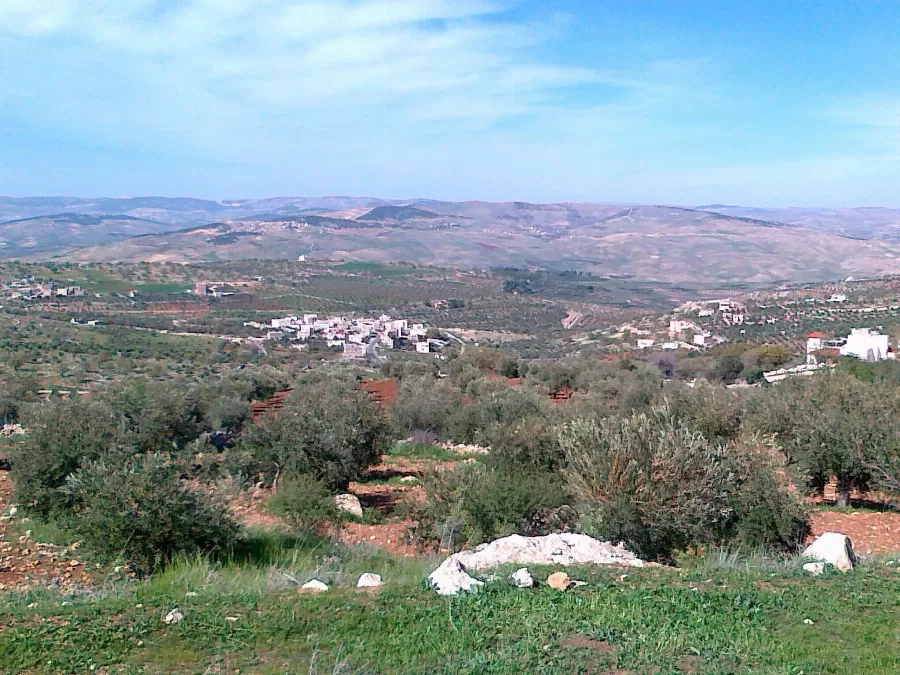 مدار الساعة,مقالات