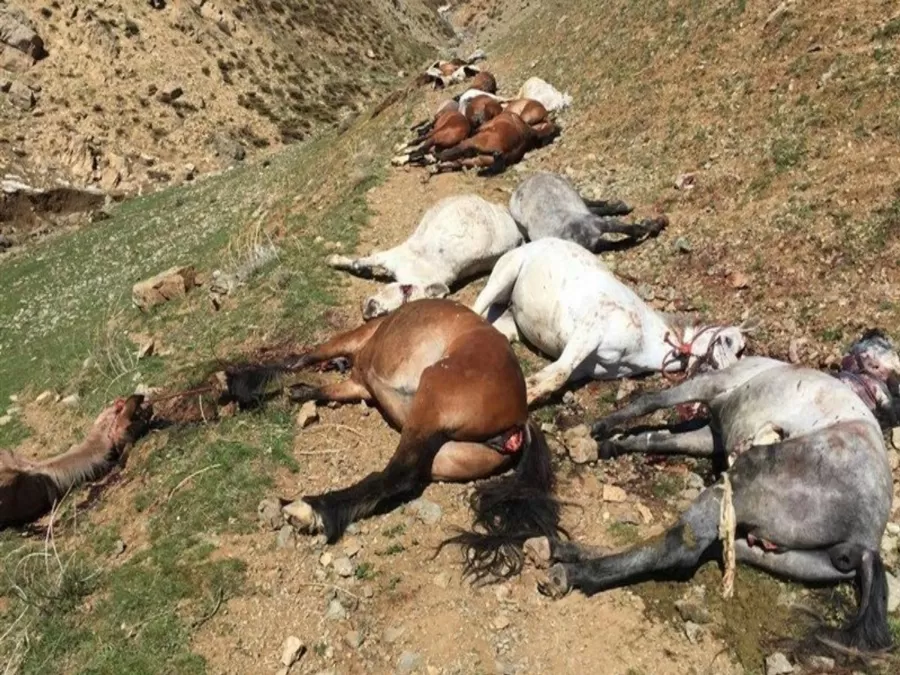 مدار الساعة,أخبار خفيفة ومنوعة