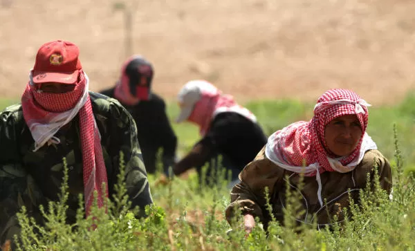 مدار الساعة,أخبار الأردن,اخبار الاردن