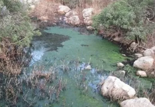 مدار الساعة,أخبار الأردن,اخبار الاردن