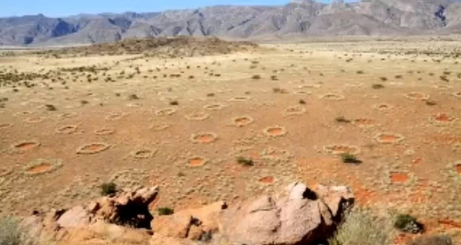 مدار الساعة,أخبار خفيفة ومنوعة