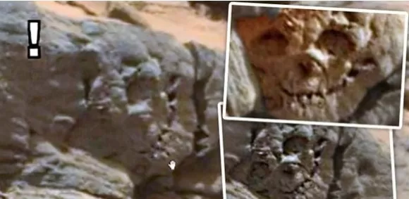 مدار الساعة,أخبار خفيفة ومنوعة,مواقع التواصل الاجتماعي