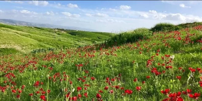 مدار الساعة,أخبار الأردن,اخبار الاردن,درجات الحرارة