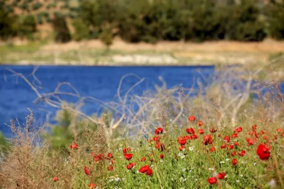 مدار الساعة,أخبار الأردن,اخبار الاردن,درجات الحرارة العظمى والصغرى,درجات الحرارة,البحر الميت