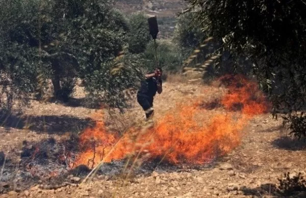 مدار الساعة,أخبار الأردن,اخبار الاردن