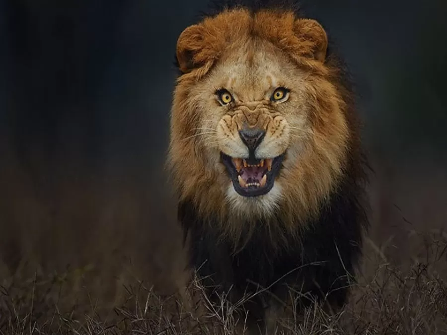 مدار الساعة,أخبار خفيفة ومنوعة