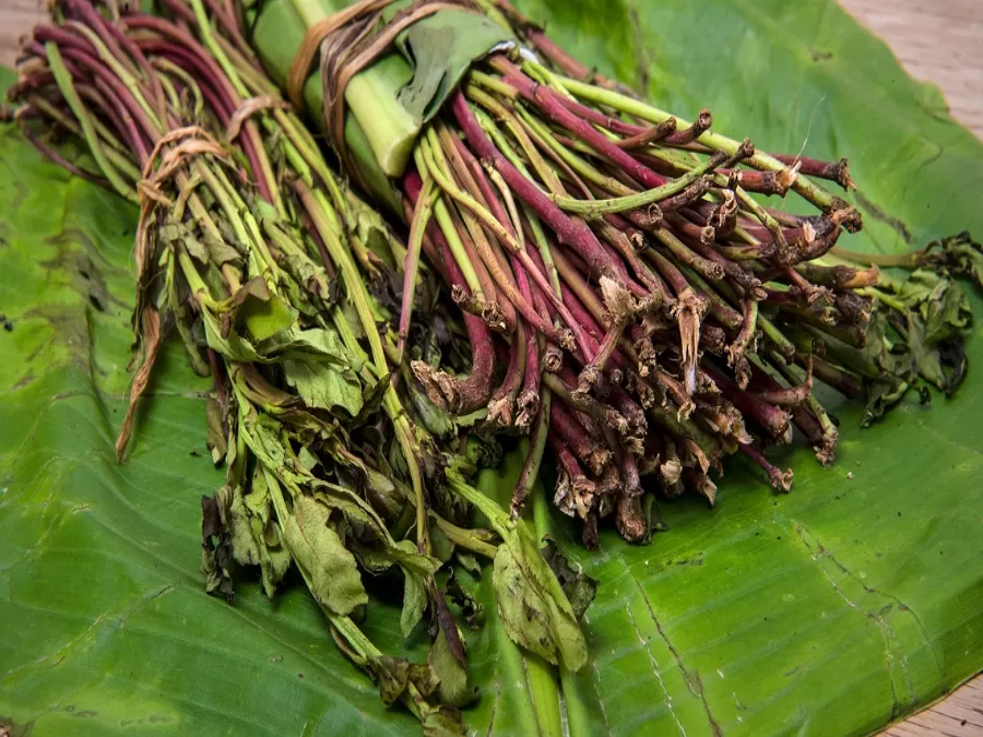 مدار الساعة,أخبار خفيفة ومنوعة