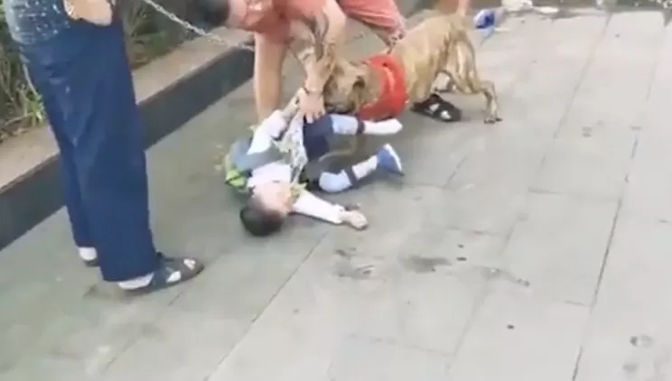 مدار الساعة,Video,فيديو,أخبار خفيفة ومنوعة,مواقع التواصل الاجتماعي