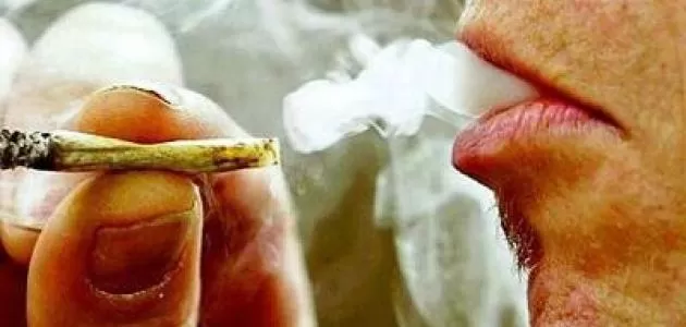 مدار الساعة,أخبار خفيفة ومنوعة