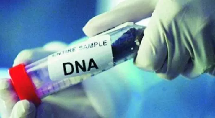 مدار الساعة,أخبار خفيفة ومنوعة