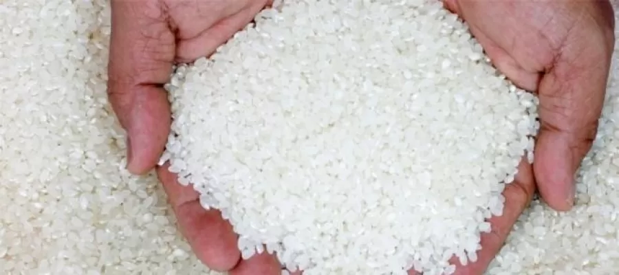 مدار الساعة,أخبار خفيفة ومنوعة,رئيس الوزراء,وزارة الزراعة,مجلس النواب