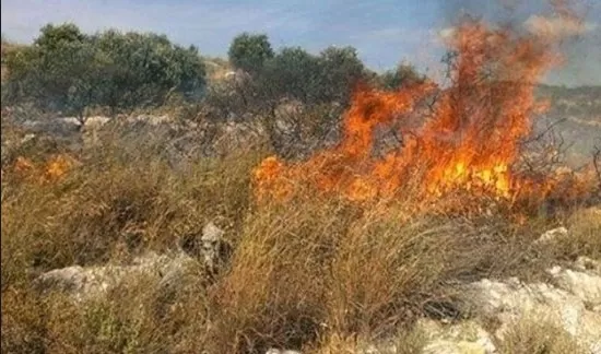 مدار الساعة,أخبار الأردن,اخبار الاردن
