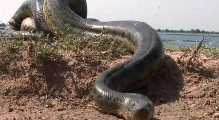 مدار الساعة,أخبار خفيفة ومنوعة