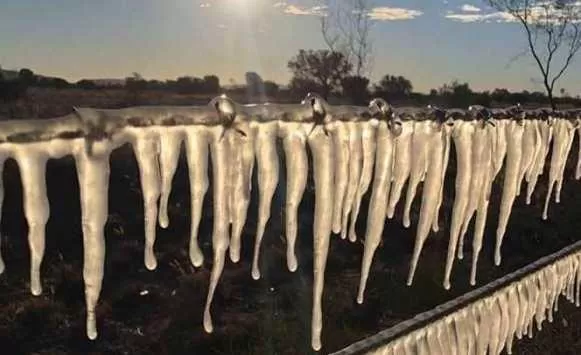 مدار الساعة,أخبار خفيفة ومنوعة,درجات الحرارة,الأرصاد الجوية