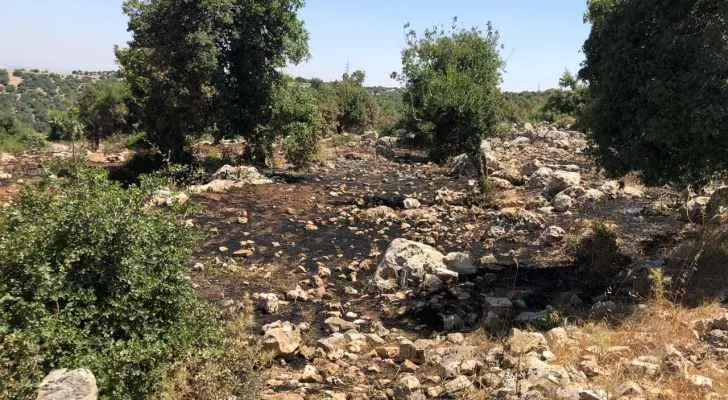 مدار الساعة,أخبار الأردن,اخبار الاردن,وزارة الزراعة