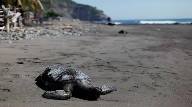 مدار الساعة,أخبار خفيفة ومنوعة