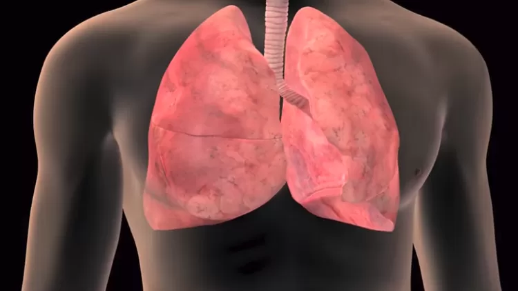 مدار الساعة,أخبار خفيفة ومنوعة,منظمة الصحة العالمية